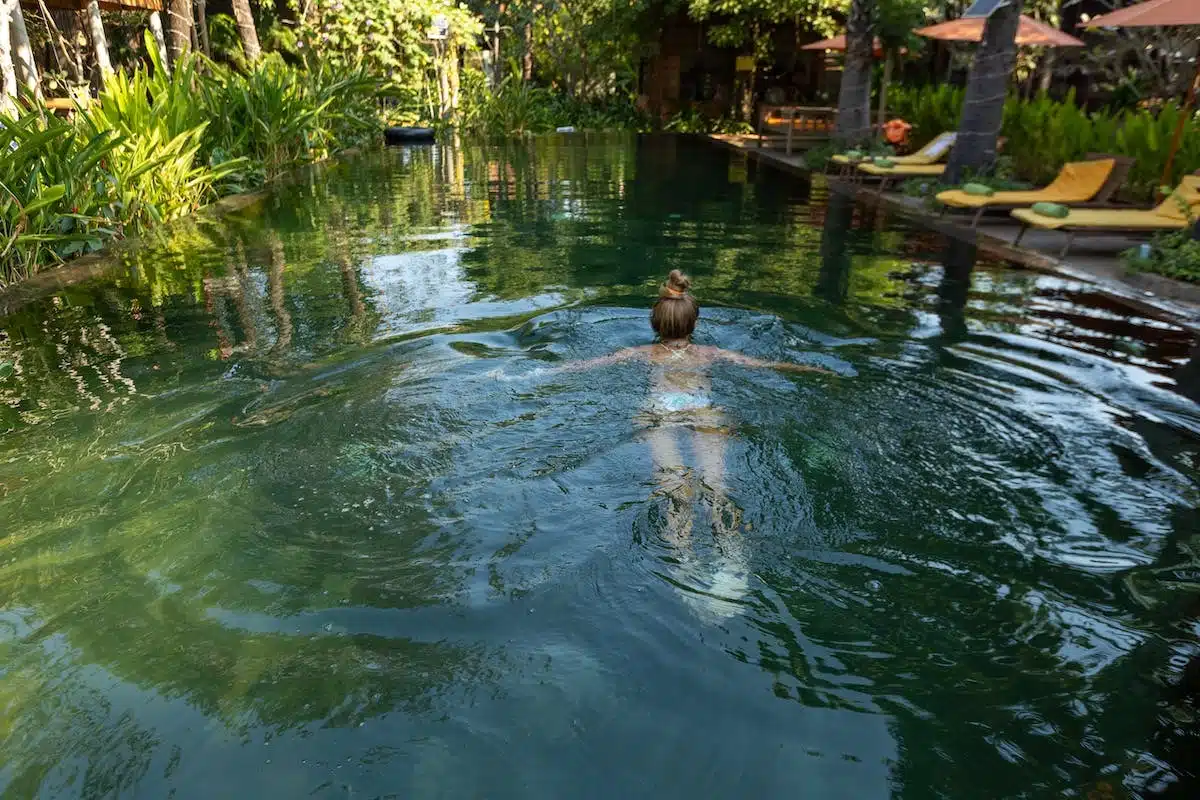 piscine écologique
