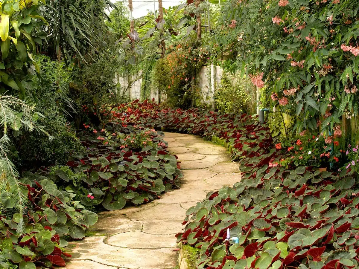 jardin paysager