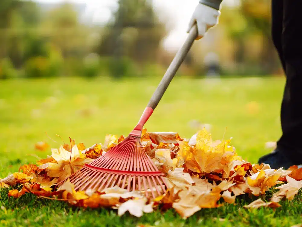 Remettre son jardin en état quels outils prévoir