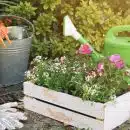 Remettre son jardin en état quels outils prévoir