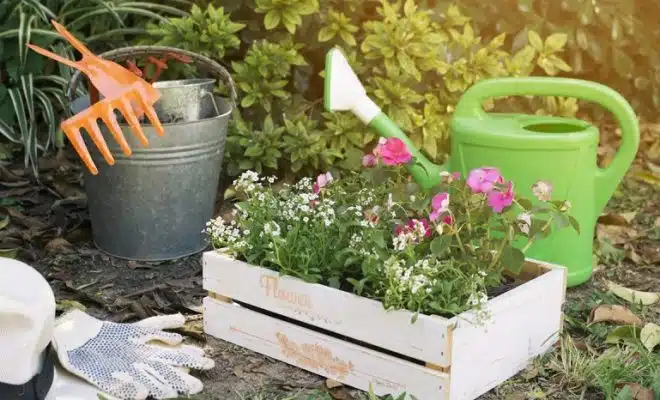 Remettre son jardin en état quels outils prévoir