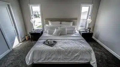 Éliminer les punaises de lit : des solutions expertes et efficaces !