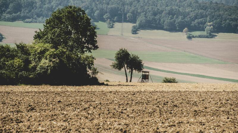 terrain à labourer